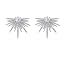 silver star