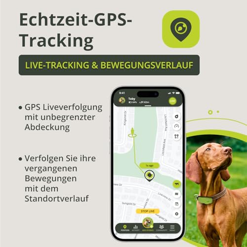 Kippy Dog | GPS for Dogs - Waterproof GPS Tracker for Dogs with Collar Attachment - Activity and Health Tracker for Your Dog, with Virtual Fence and Notifications - Green Color