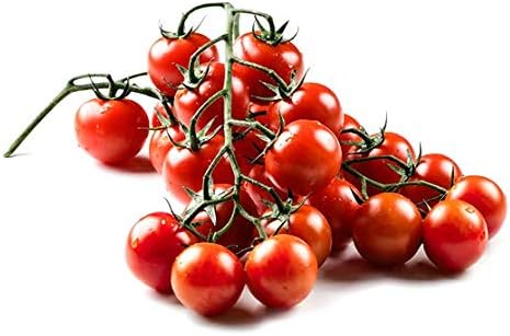 20 Sicilian Ciliegino Cherry Tomato Seeds, Heirloom Non-GMO, Rare, Classic Italian, Indeterminate, Open-Pollinated, Productive, Delicious from USA Solanum lycoperscium