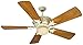 Craftmade K10247 Pavilion 54" 5 Blade Indoor Ceiling Fan - Blades, Remote and Li, Antique White Distressed