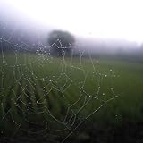 Cpaqwefcvo Premium Book Reviews