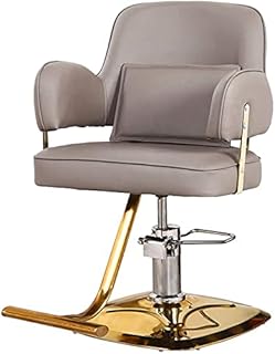 AuLYn Silla hidráulica para Negocios o hogar, para Estilista, Silla ergonómica de peluquería hidráulica Multiusos, Equipo de SPA de Belleza (420 Libras) (Color: Gris+Dorado) (Azul+Plata (Gris+Dorado)