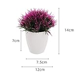 Zoom IMG-2 haloppe pianta artificiale in vaso Zoom IMG-2 haloppe pianta artificiale in vaso