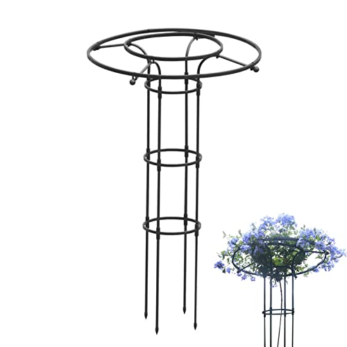 Support vertical en métal pour plantes grimpantes de jardin