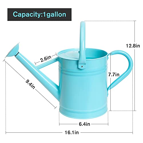 Joequality Watering Can For Outdoor&Indoor Plants，1 Gallon Metal Plant Watering Can With Detachable Diffuser Spout，Beautiful Galvanized Steel Gardening Tools，Light Blue #TOP3