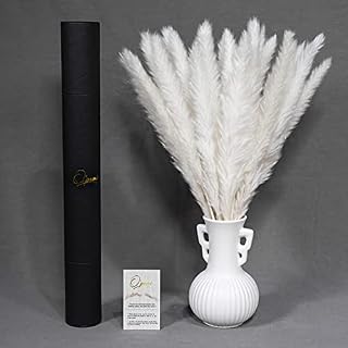O'pemi White pampas grass, 45cm length, 30 stems home decor, dried natural grass,boho, flower arrangements, gift protective packaging