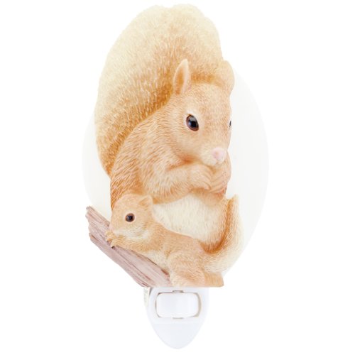 Ibis & Orchid Squirrel Night Light