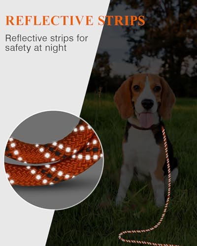 Dog Leash Training Tips