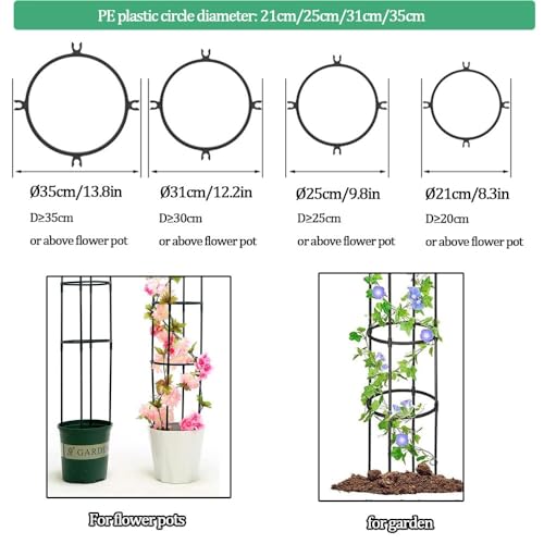 Obélisque de Jardin de Qualité Supérieure pour Rosiers et Vignes - 5