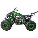 X-PRO Panther 200 Sports ATV with LED Headlights Automatic Transmission with Reverse, Assembled and Tested！ (Green/Green)