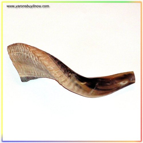 Compare prices for shofars for sale across all Amazon European stores