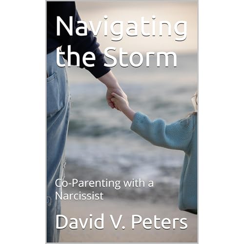 Navigating the Storm Audiobook By David V. Peters cover art