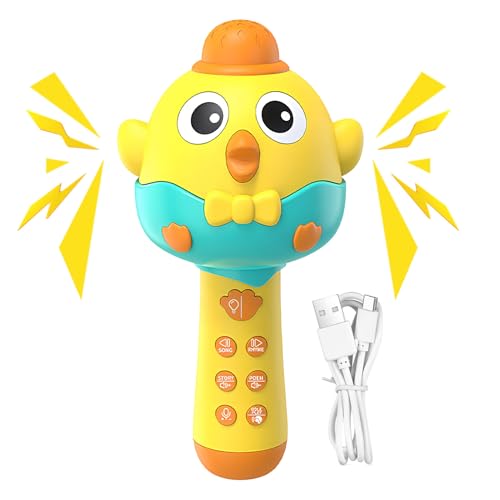 Microphone pour fête de famille et salon, jouet musical LED rechargeable