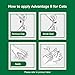 Advantage II Large Cat Vet-Recommended Flea Treatment & Prevention | Cats Over 9 lbs. | 2-Month Supply