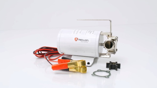 Red Lion RLMPFV12 12-Volt DC, 1/12 HP, 300 GPH Non-Submersible