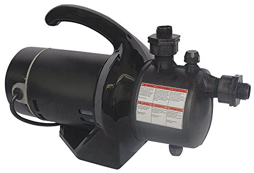 Dayton, 3YU60, Utility Pump, 1/2 HP, 115V, 6.5A, 1 in.