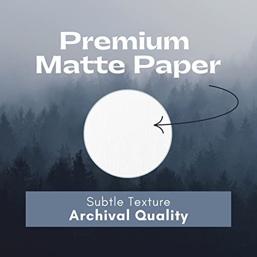 Yellow Flower Art, French Botanical Prints - Vintage Floral Decor, Redoute Wall Art, Sunflower Daffodil Blossom - Set Of 3, Unframed #TOP5