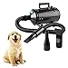 Wilktop Haustier Trockner, 2600W Pet Haartrockner Hundepflege Haartrockner Einstellbarer Windgeschwindigkeit und Temperaturbereich Pet Trockner (Schwarz)