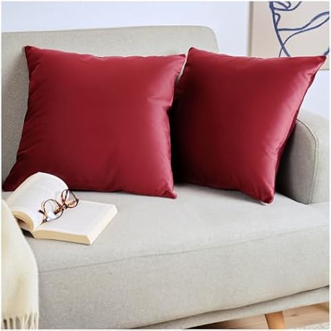 Blumtal Lot de 2 Housse de Coussin en Velours - Taie d'oreiller 40x40 Velours Doux - Housses de Coussin Fermeture Zip Cachée Cover