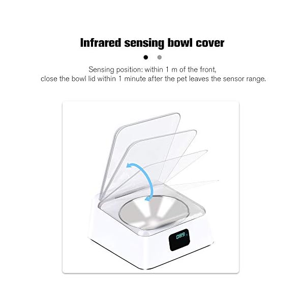 Yorten Dog Automatic Induction Bowl Stainless Steel Pet Induction Feeder Cat Infrared Induction Feeder USB Charging Automatic Sensing Feeder for Dogs Cats Yorten Dog Automatic Induction Bowl Stainless Steel Pet Induction Feeder Cat Infrared Induction Feeder USB Charging Automatic Sensing Feeder for Dogs Cats