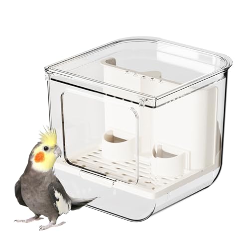 �P�[�W�p ���̉a���� - ���� �o�[�h�t�B�[�_�[ �e�� - �J�i���A �a�e�� - �J�i���A �t�B���` �I�J���C���R �R���W���[ �I�E�� �C���R ���u�o�[�h �X�Y���p