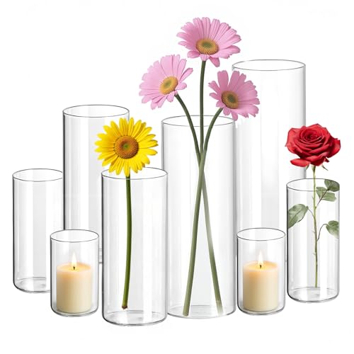 Weihnachtsdeko in Glasvasen 5 DOKKOME Vase Glas 8 Stück Glasvase Set Kerzengläser Glasvasen für...