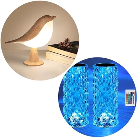 VoMii Crystal Night Lamp + Small Bird Lamp Cover