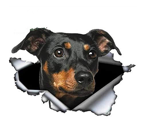 MDGCYDR Car Stickers 25Cm Miniature Pinscher