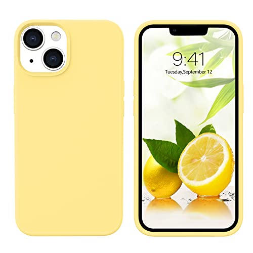 Coque iPhone 13 silicone liquide Guagua haute finition fine
