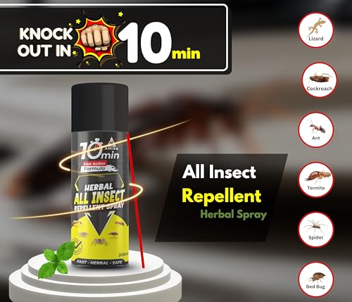 Image of Amish Aerosol All In One Insect Repellent Spray 200ml Pack Of 1 | nsect Control Spray |For Ant, Cockroach, Rat, Lizard, Bed Bugs, Spider, Fly, Centipede, Mouse, Bed Bugs 100% Natural