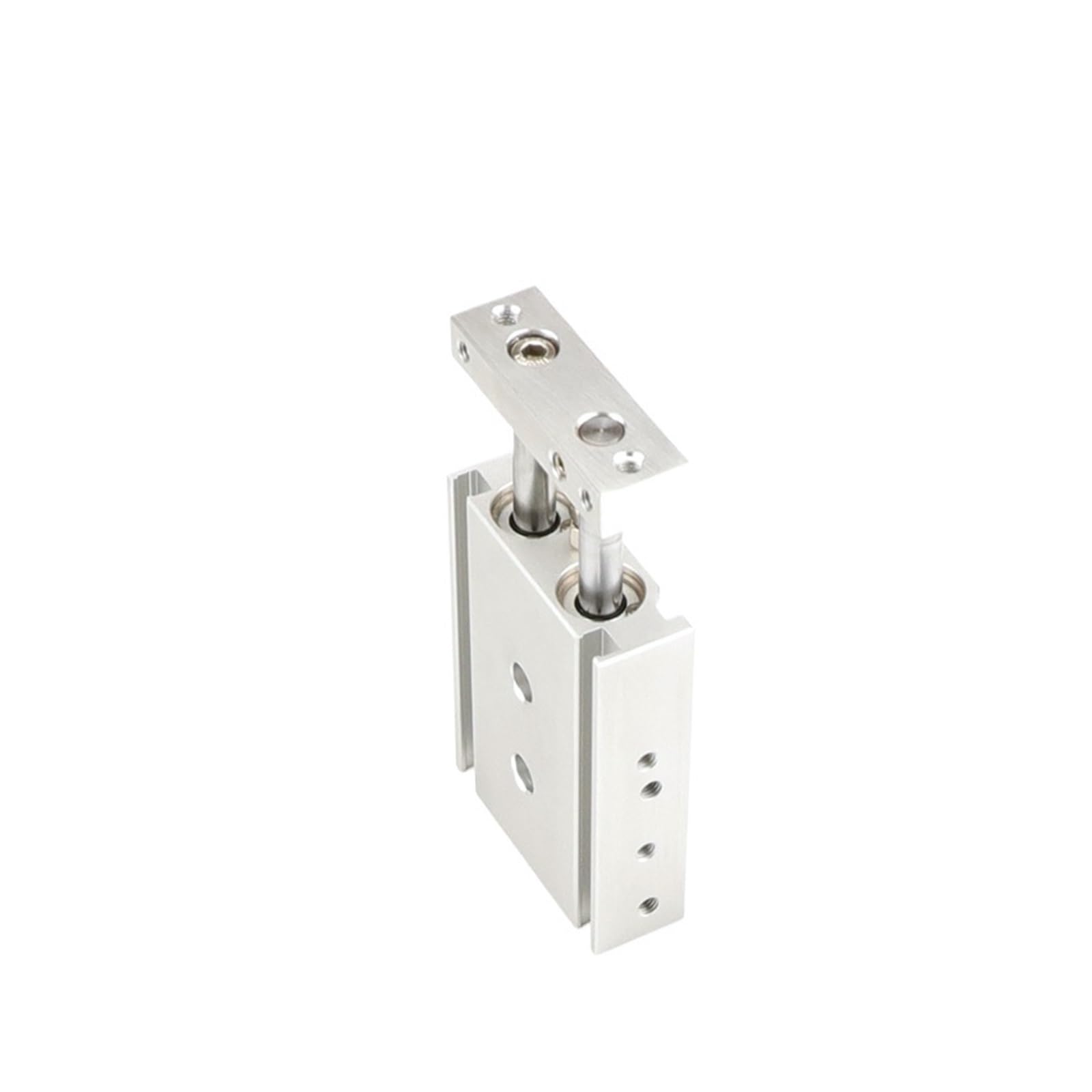 Vérin double arbre CXSM 15mm évite la torsion pour automatisation précise
