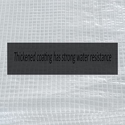 Bâche PVC imperméable 1x3m transparente résistante pluie et poussière