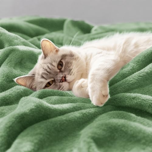 CozyLux Kuscheldecke Flauschig Decke 220x240 cm Grün – Ansicht 4