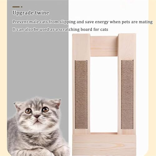 Chaise d'élevage pour chat en bois noble structure stable à pattes courtes - 7