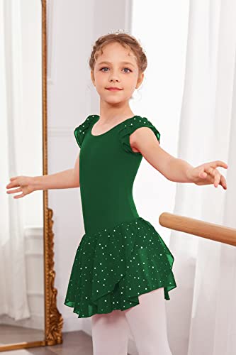Image of Arshiner Girls Ruffle Sleeve Ballet Dance Dress Tutu Skirted Leotard