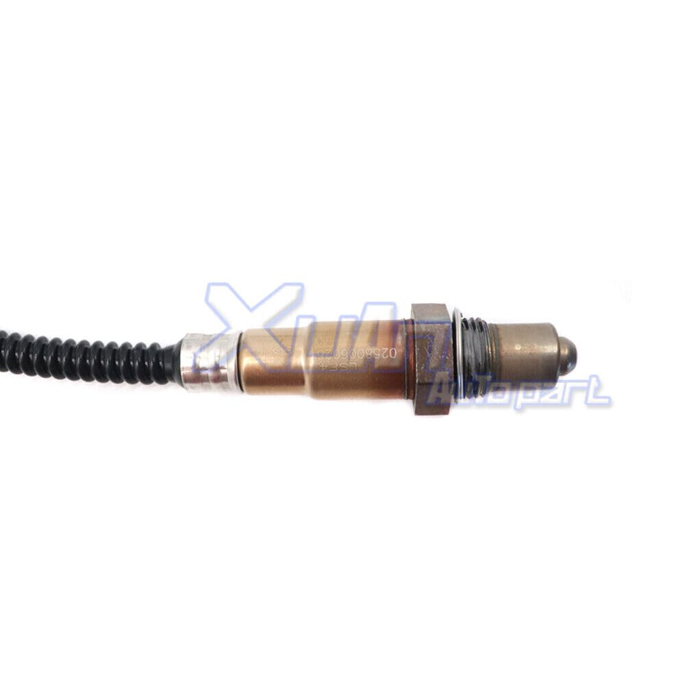 Sensore di ossigeno O2 0258006026 for Peugeot 307 308 406 407 for Fiat Citroen Berlingo C4