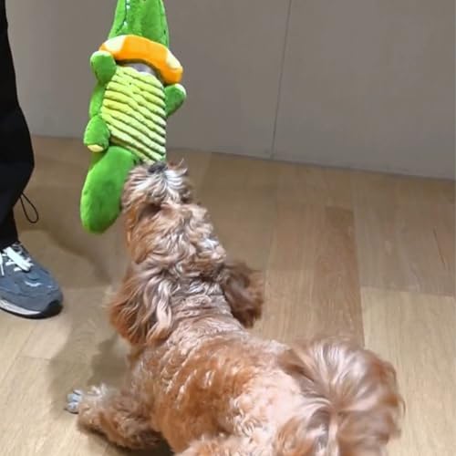 Jouet interactif pour chiens, le cadeau parfait pour jeune chiot - 5