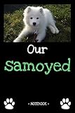 Our samoyed: dog owner | dogs | notebook | pet | diary | animal | book | draw | gift | e.g. dog food planner | ruled pages + photo collage | 6 x 9 inch