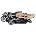 Festnight Carrito Gemelar Silla de Paseo Gemelar Carrito para Dos Bebés Tandem...