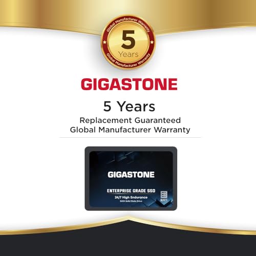 Gigastone 1 TB NAS SSD 8-pack - 24/7 Hög Uthållighet för Datacenter