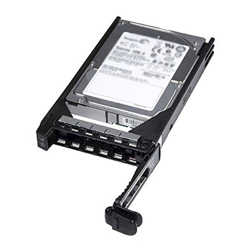 Dell - Hard disk interno da 300 GB, 2,5 (10.000 rpm, SAS, 6 Gbps, hot plug, assemblato)