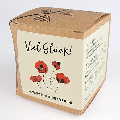 Geschenk-Anzuchtset MARIENKÄFERBLUME mit Samen des Marienkäfermohns, eine Glücksbringer-Geschenkidee aus dem NATURKRAFTWERK