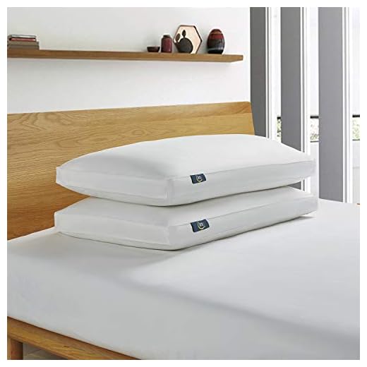 Serta 233 Thread Count White Feather Goose Down Fiber Side Sleeper 2 Pack Pillow, King