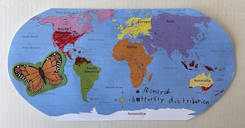 Shapes SE-1000 Practice Map Labeled World 30 Sheet- 8 X 16