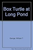Box Turtle at Long Pond