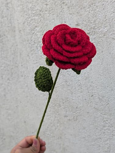 Image of Prapti Handicrafts Handmade Crochet Rose Artificial Forever Flowers for Vase, Home Decoration (2, red Rose)