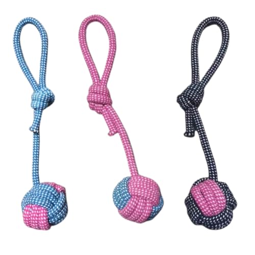 Kit 4 brinquedos para cachorro Mordedor puxador Bola Corda Azul