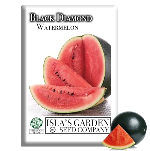 Black Diamond Watermelon Seeds (Citrullus lanatus) – 50+ Heirloom Non GMO Seeds by Isla’s Garden Seeds, Large Classic Melons with Sweet Red Flesh, Summer Garden Favorite, Gift Idea