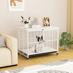 VOWNER 32 Inch Heavy Duty Dog Crate Furniture, Decorative Dog Kennel End Table, Foldable Wooden Pet House Indoor with 4 Lockable Wheels, Double Door and Removable Tray Design, for Medium Dogs, White VOWNER 32 Inch Heavy Duty Dog Crate Furniture Decorative Dog Kennel End Table Foldable Wooden Pet House Indoor with 4 Lockable Wheels Double Door and Removable Tray Design for Medium Dogs White