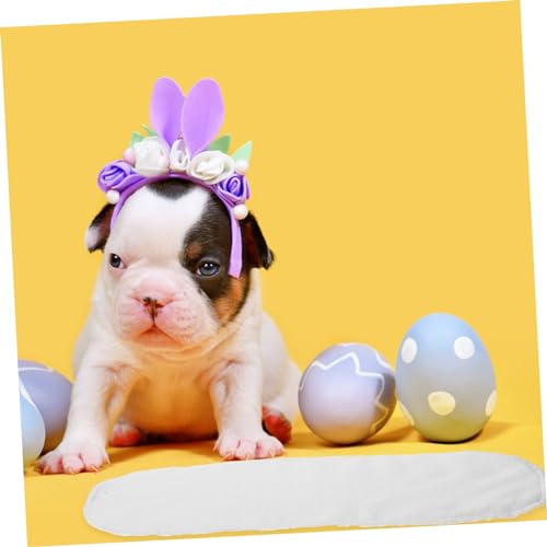 SEWOART 10 Peças Almofada De Fralda Para Cachorro Fraldas Para Animais De Estimação Almofada De Fral